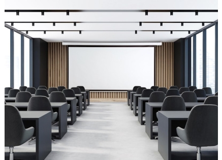 Elektrické projekční plátno AVELI, 366x275 (4:3) 180"