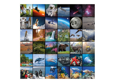 TT - Bee-Bot podložka Příběh