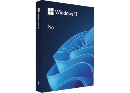 Windows Pro 11 64-bit Czech USB