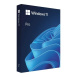 Windows Pro 11 64-bit Czech USB