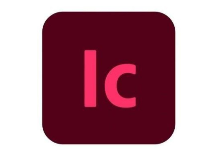 InCopy for teams MP ML (+CZ) Education Named, 12 Months, Level 2, 10 - 49 Lic