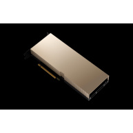 NVIDIA A100 80GB PCIe NonCEC Accelerator