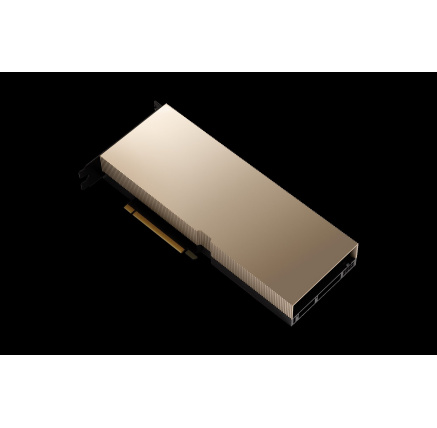 NVIDIA A100 80GB PCIe NonCEC Accelerator