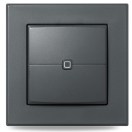 Homematic IP  Nástěnný dálkový ovladač - 2 tlačítka, antracit - HmIP-WRC2-A