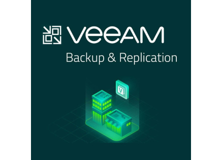 Veeam Backup & Replication Enterprise Plus  per VM  (1VM/12M)