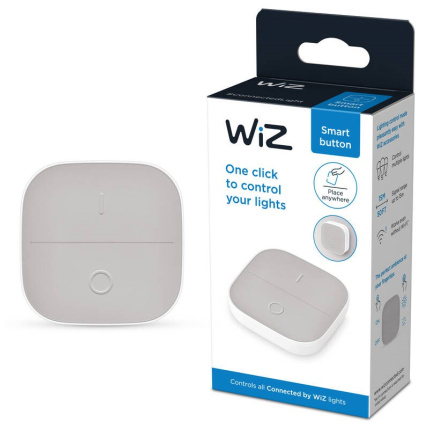 PHILIPS WiZ Portable Button šedé/bílé - spínač