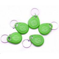 ESES klíčenka RFID, 125 KHz zelený, vyražené číslo, 100-pack