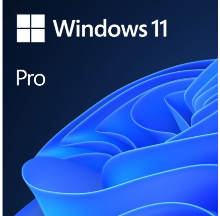 Windows 11 Pro 64Bit CZ OEM