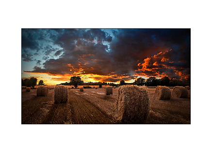 SAMSUNG LFD 55" LH55VMTUBGBXEN 1920x1080, 8ms, HDMI, repro, VESA . HL SAMSUNG LFD 55" LH55VMTUBGBXEN 1920x1080, 8ms, HDMI, repro, VESA . HL