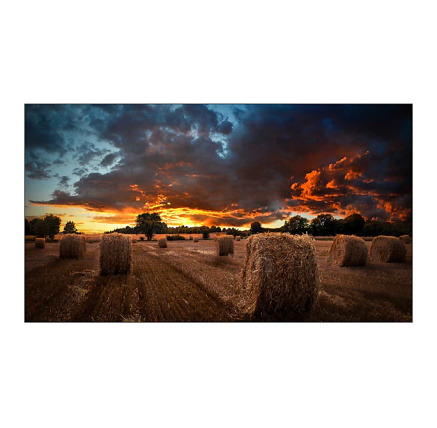 SAMSUNG LFD 55" LH55VMTUBGBXEN 1920x1080, 8ms, HDMI, repro, VESA . HL