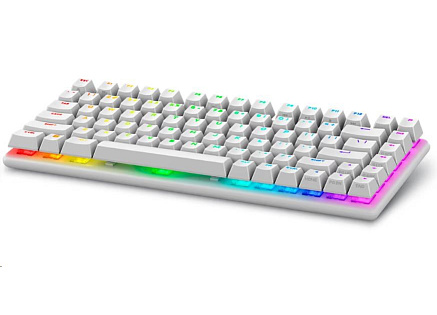 DELL Alienware Pro Wireless Gaming Keyboard - US (QWERTY) (Lunar Light)