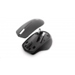 HP myš - 280 Silent Mouse, wireless