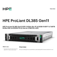HPE PL DL385g11 AMD EPYC 9115 (2.6/16C) 2x32G (P64985) 1x7.68TB NVMe 2x1000W 8SFF 2p10GT Smart Choice