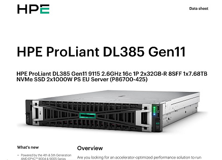 HPE PL DL385g11 AMD EPYC 9115 (2.6/16C) 2x32G (P64985) 1x7.68TB NVMe 2x1000W 8SFF 2p10GT Smart Choice