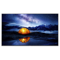 SONY 55'' 4K 24/7 Professional BRAVIA without Tuner, HAZE