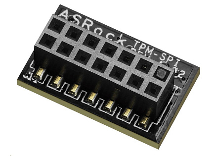 ASRock TPM-SPI