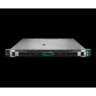 HPE PL DL365g11 AMD Epyc 9124 (3.0/16C) 2x32G 2x480G MR408i-o/4G o4p10G-T 8SFF 2x1000W 1U Smart Choice