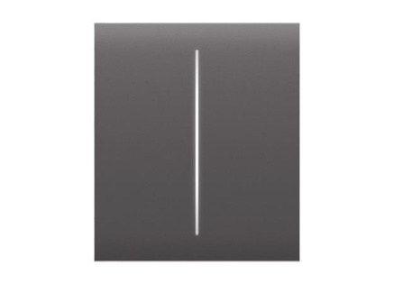 Ajax  CenterButton (2-gang) - Středové dvou tlačítko, šedá