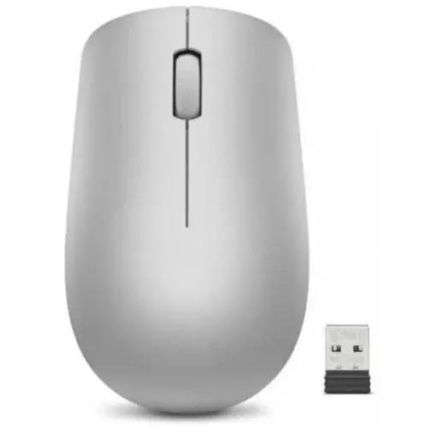 Lenovo 530 Wireless Mouse (Platinum Grey)