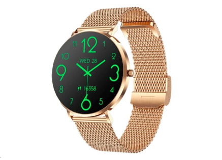 CARNEO Phoenix HR+ GOLD Ultra thin 2nd gen CARNEO Phoenix HR+ GOLD Ultra thin 2nd gen